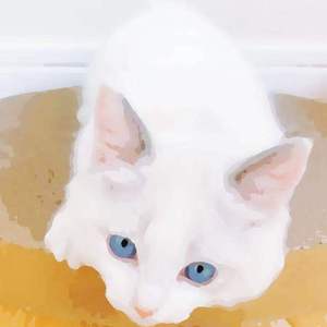 富婆性婬乱A片AAAA片
