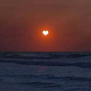 富婆性婬乱A片AAAA片
