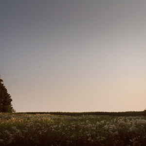 富婆性婬乱A片AAAA片
