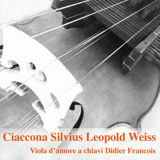 富婆性婬乱A片AAAA片
